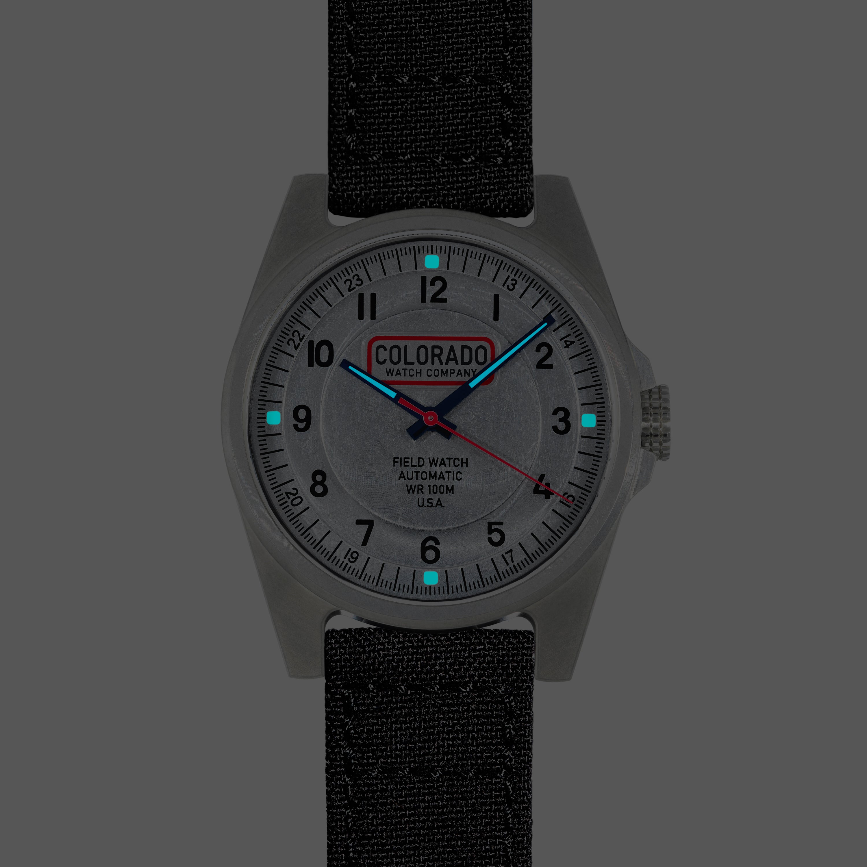 Field Watch - Steel Case - Vintage Dial